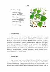 www.speros.lt